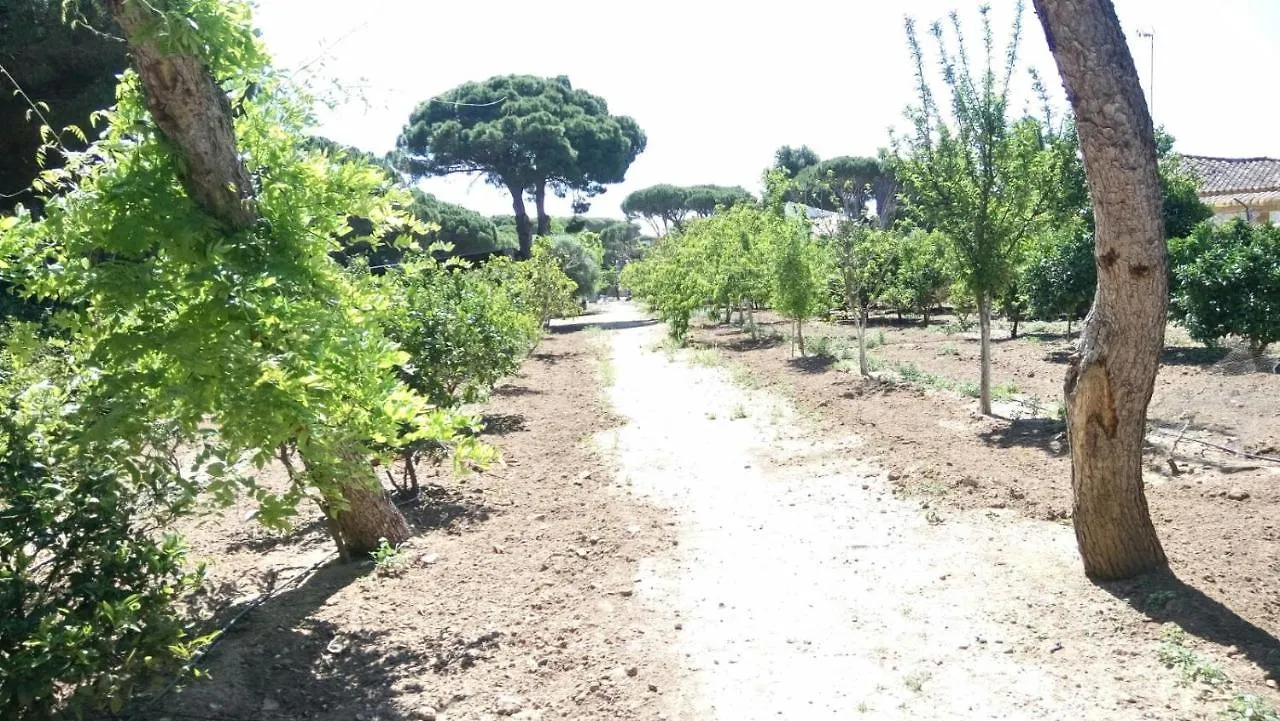 Bungalow Para Quienes Buscan Tranquilidad Chiclana de la Frontera 0*,  İspanya